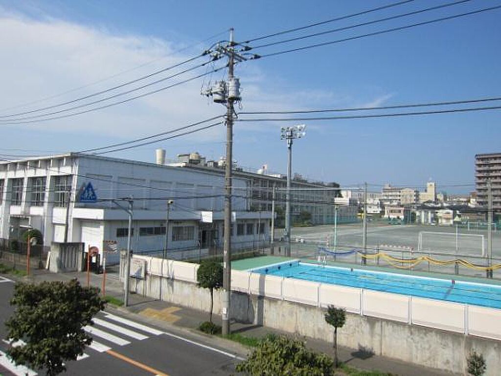 Image 11