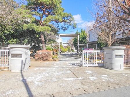 柏市立柏第一小学校まで620m、撮影日:2023/01/25 960 柏市立柏第一小学校