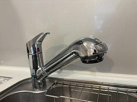 クリアな水が毎日使え、見た目にもスマートな浄水器一体型。水栓は、引出し式のシャワーヘッドなのでシンクの隅々までお掃除できます。