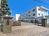 周辺：白岡市立菁莪小学校 1900m