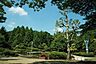 周辺：生田緑地まで1605m