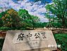 周辺：府中中央公園まで914m