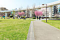 蒔田公園まで3...