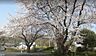 周辺：白根公園まで535m