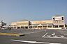 周辺：あすみが丘ブランニューモールまで1300m