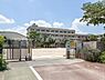 周辺：船橋市立高郷小学校まで800m