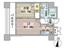 ラフィネタワー札幌南3条 14階1DKの間取り
