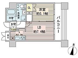 ラフィネタワー札幌南3条 1DKの間取図画像