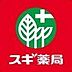 周辺：スギドラッグ坂戸店まで501m