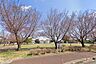 周辺：前久保中央公園まで439m