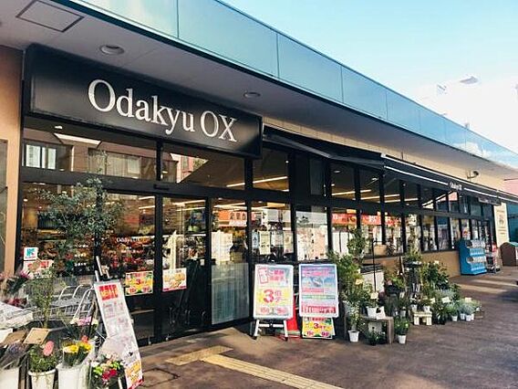 OdakyuO...