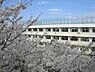 周辺：大田区立赤松小学校まで416m
