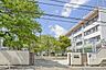 周辺：目黒区立東根小学校まで969m