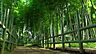 周辺：すずめのお宿緑地公園まで546m