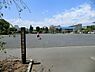 周辺：さいかち公園まで300m、さいかち公園