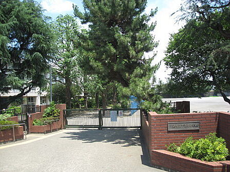 川崎市立下沼部小学校まで969m