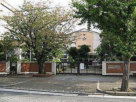 和歌山市立大新小学校まで704m