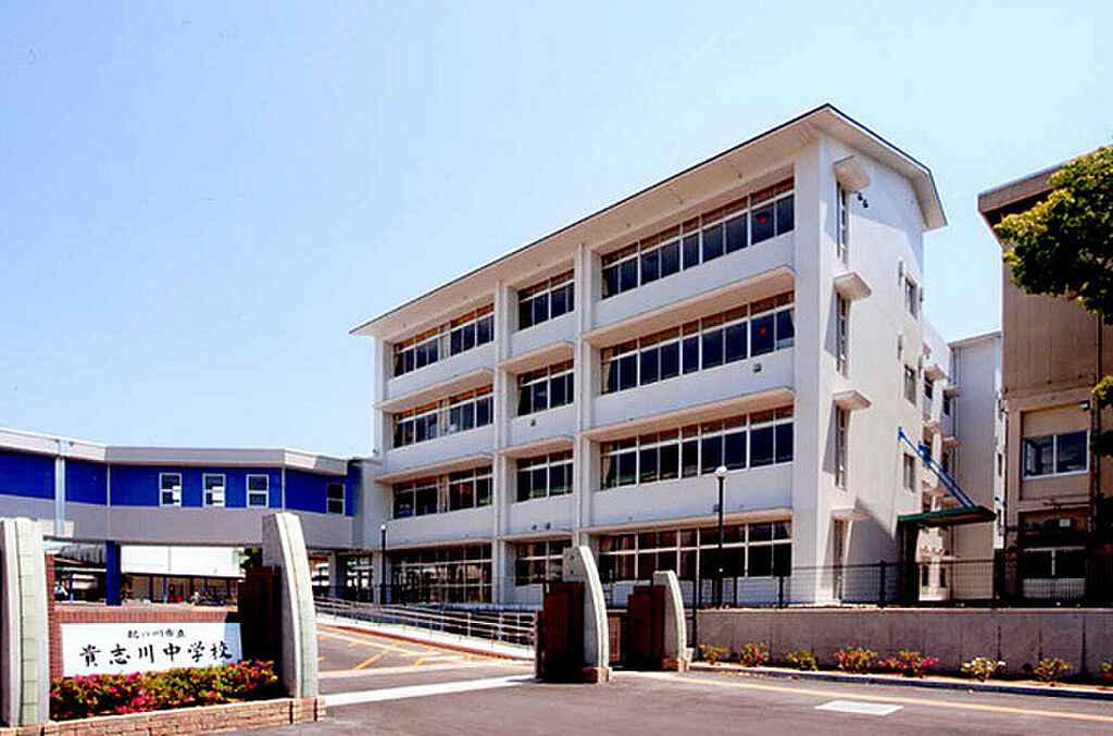 Image 8
