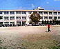 周辺：和歌山市立新南小学校まで1160m