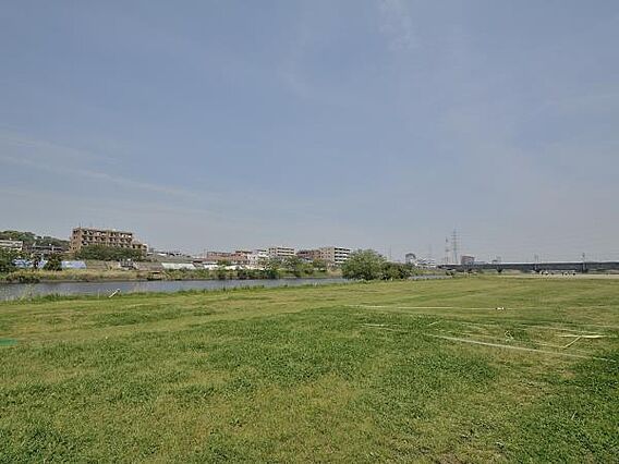 鶴見川樽町公園...