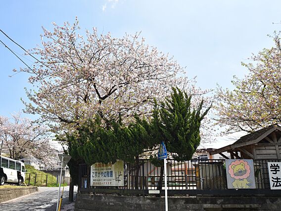 小菅ヶ谷幼稚園...