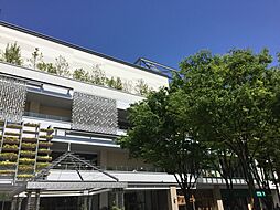 MARK IS みなとみらい　1100m　食品からファッション、グルメ、エンターテイメントが楽しめる複合施設です。