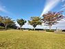周辺：東俣野中央公園　900m　「ジャックと豆の木」をイメージして作られた公園。野球場やテニスコートもありますので大人も楽しめます。 