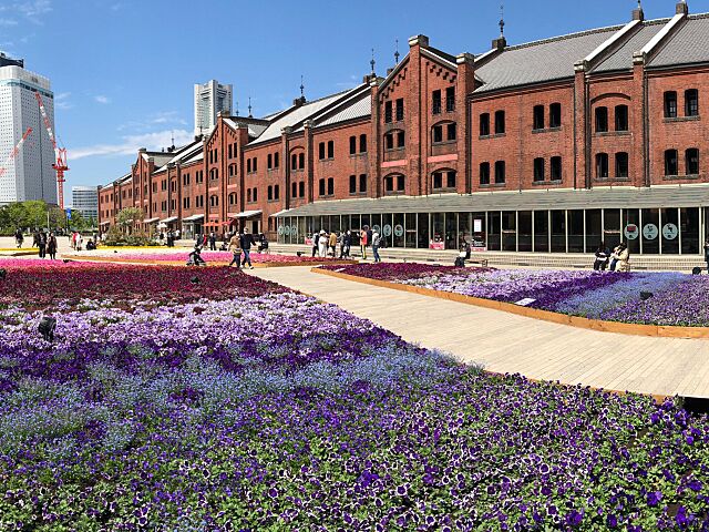 周辺 Ｍ・Ｐ・Ｓ関内 11階/-