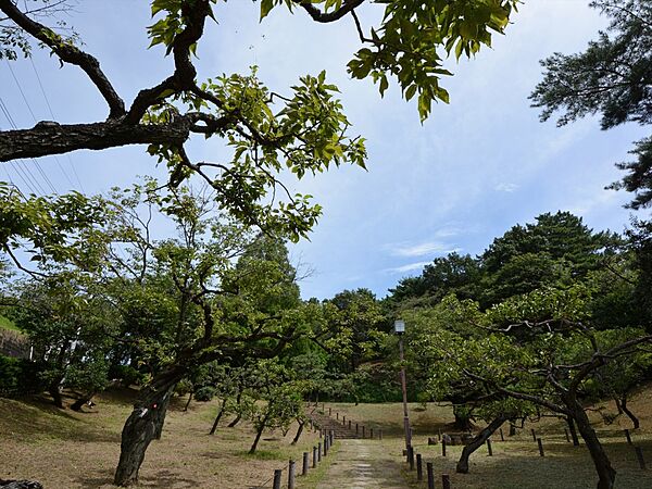 周辺を拡大表示
