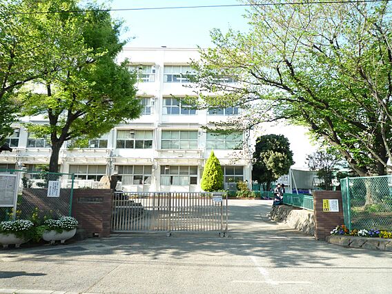 横浜市立樽町中...