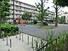 周辺：矢向五丁目公園　280m　住宅街の十分な広さの公園です。公園の設備には水飲み・手洗い場があります。 