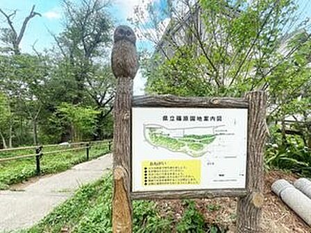 篠原園地 　850m　自然に囲まれた県の施設で、幼児向けの遊具も有り、のんびり過ごせます。 