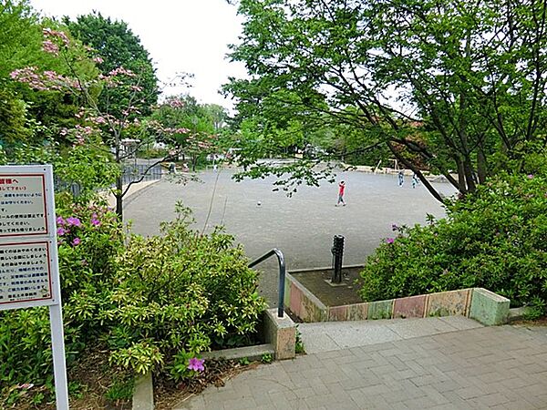 周辺を拡大表示