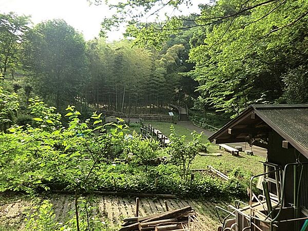周辺を拡大表示