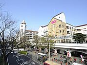 イオン本牧店　260m　食品、雑貨、衣料品をはじめ、複数の専門店もあり、たいていのものは揃えることができます。 