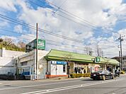 Fuji上中里店　700m　地域密着型のスーパー。きめ細かな品揃えと鮮度が自慢です。日常のお買い物でVポイントがたまります。 