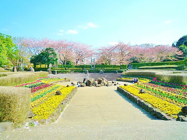 周辺を拡大表示