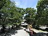 周辺：東永田公園　180m　緑が豊かでお子様が楽しめる遊具が揃った公園。敷地内が三段になっています。 