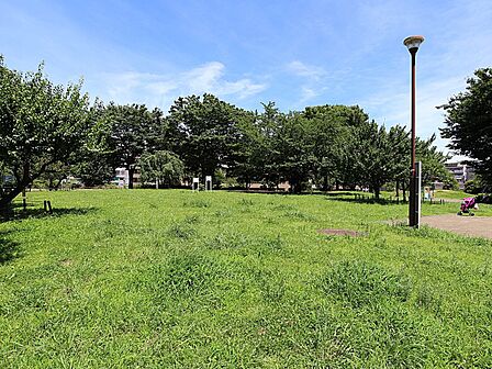 入江町公園　300m　遊具は少なめですが、広々とした公園です。公園の一角にはプールもあります（夏季のみ）。 