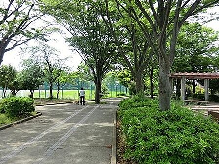 六浦大道公園 750m サッカーや野球のできるグラウンドがあります。翠溢れる街のオアシスとして、近隣の方に愛されています。