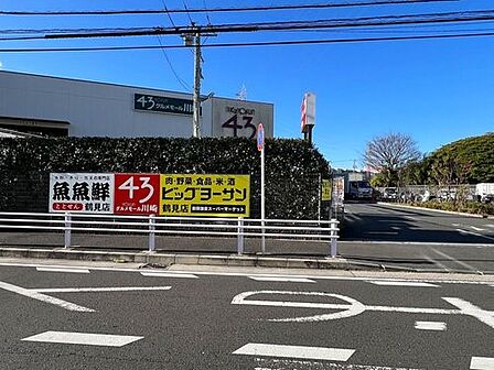 43グルメモール川崎 ビッグヨーサン鶴見店　450m　川崎駅直結の映画も楽しめるショッピングモール。各種イベントも多く開催されます。 