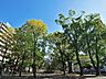 周辺：大通り公園　350m　波のイメージのタイルのモザイクや流氷のイメージのオブジェがあり、自分流で楽しめる公園です。 