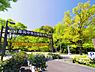 周辺：都筑中央公園　1400m　 自然と親しめる大型の公園。四季折々の草花が楽しめ、訪れた人を楽しませてくれます。 