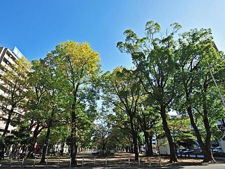 大通り公園 170m 波のイメージのタイルのモザイクや流氷のイメージのオブジェがあり、自分流で楽しめる公園です。