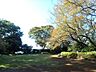 周辺：白幡公園　1300m　公園の中にはログハウスもあります。木のぬくもりを感じながら思いっきり遊べます。 
