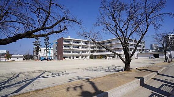 小牧小学校まで...