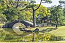 周辺：住吉公園まで504m