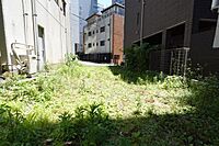 東京都港区東麻布1丁目：物件画像