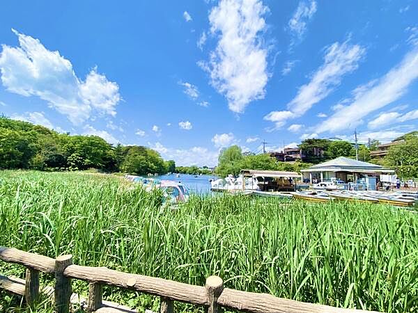 その他を拡大表示