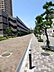 その他：緑が多く、整備された歩道です！